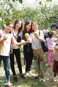 小黄书
工会赴砀山进行金秋采摘活动